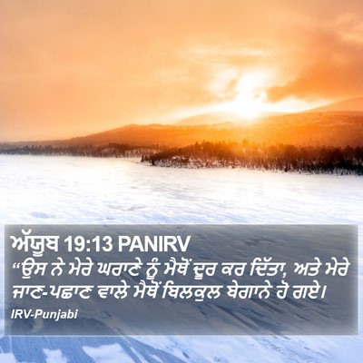 ਅੱਯੂਬ 19:13 PANIRV Bible Verse Image
