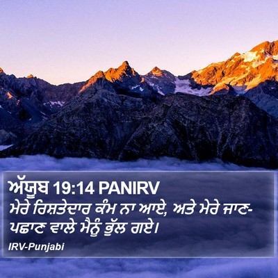 ਅੱਯੂਬ 19:14 PANIRV Bible Verse Image