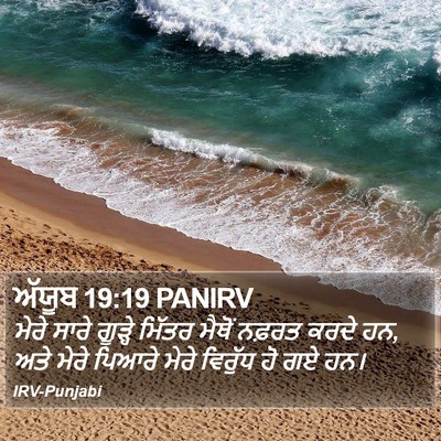 ਅੱਯੂਬ 19:19 PANIRV Bible Verse Image
