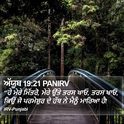 ਅੱਯੂਬ 19:21 PANIRV Bible Verse Image