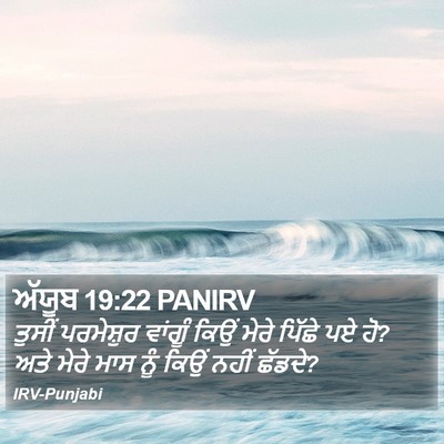ਅੱਯੂਬ 19:22 PANIRV Bible Verse Image