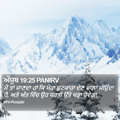 ਅੱਯੂਬ 19:25 PANIRV Bible Verse Image