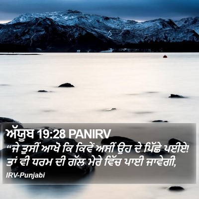 ਅੱਯੂਬ 19:28 PANIRV Bible Verse Image