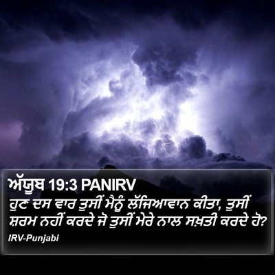 ਅੱਯੂਬ 19:3 PANIRV Bible Verse Image