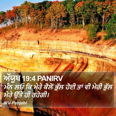 ਅੱਯੂਬ 19:4 PANIRV Bible Verse Image