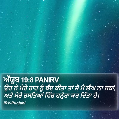 ਅੱਯੂਬ 19:8 PANIRV Bible Verse Image