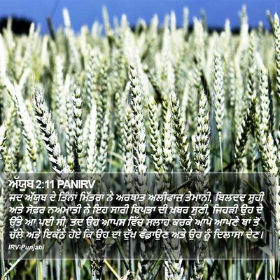 ਅੱਯੂਬ 2:11 PANIRV Bible Verse Image
