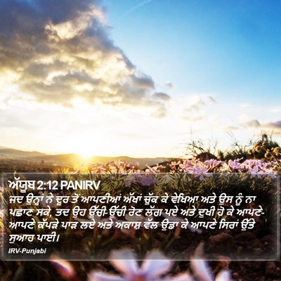 ਅੱਯੂਬ 2:12 PANIRV Bible Verse Image