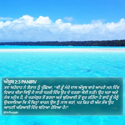 ਅੱਯੂਬ 2:3 PANIRV Bible Verse Image