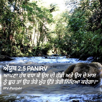 ਅੱਯੂਬ 2:5 PANIRV Bible Verse Image