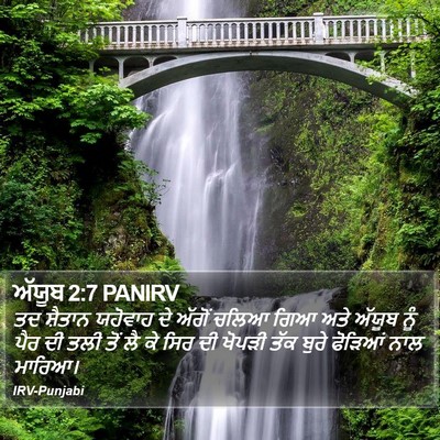 ਅੱਯੂਬ 2:7 PANIRV Bible Verse Image