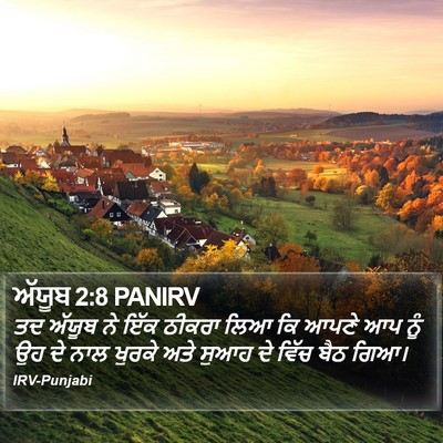 ਅੱਯੂਬ 2:8 PANIRV Bible Verse Image