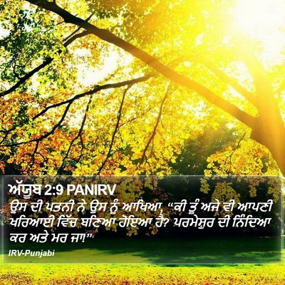 ਅੱਯੂਬ 2:9 PANIRV Bible Verse Image