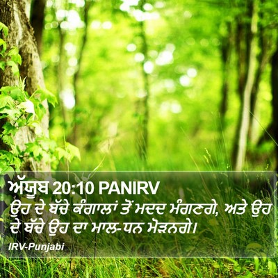 ਅੱਯੂਬ 20:10 PANIRV Bible Verse Image