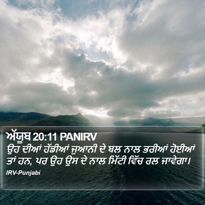 ਅੱਯੂਬ 20:11 PANIRV Bible Verse Image