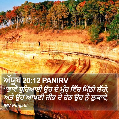 ਅੱਯੂਬ 20:12 PANIRV Bible Verse Image