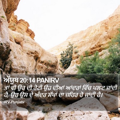 ਅੱਯੂਬ 20:14 PANIRV Bible Verse Image
