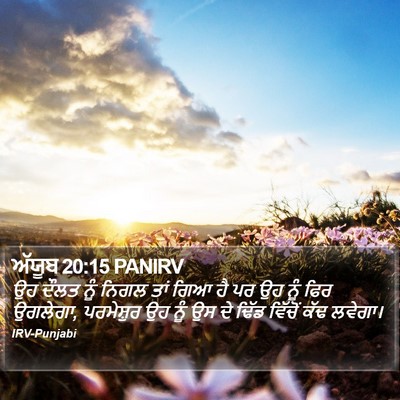 ਅੱਯੂਬ 20:15 PANIRV Bible Verse Image