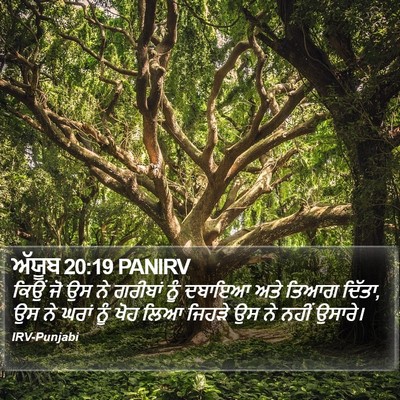 ਅੱਯੂਬ 20:19 PANIRV Bible Verse Image