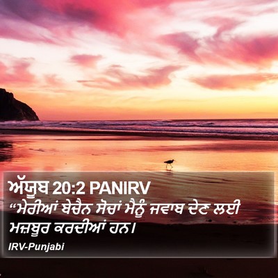 ਅੱਯੂਬ 20:2 PANIRV Bible Verse Image