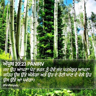 ਅੱਯੂਬ 20:23 PANIRV Bible Verse Image