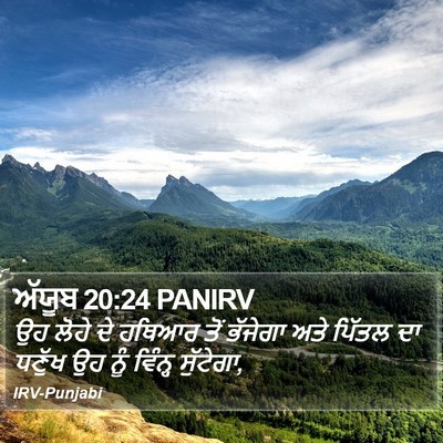 ਅੱਯੂਬ 20:24 PANIRV Bible Verse Image