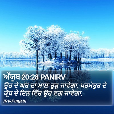 ਅੱਯੂਬ 20:28 PANIRV Bible Verse Image