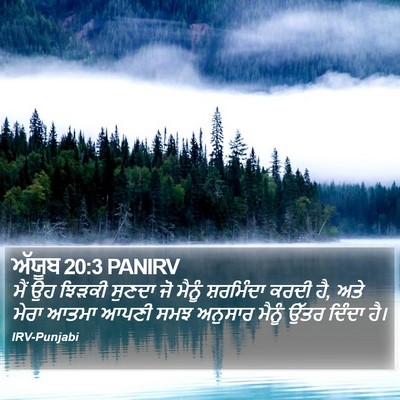 ਅੱਯੂਬ 20:3 PANIRV Bible Verse Image