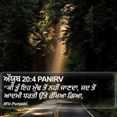 ਅੱਯੂਬ 20:4 PANIRV Bible Verse Image