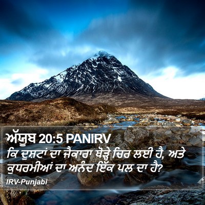 ਅੱਯੂਬ 20:5 PANIRV Bible Verse Image
