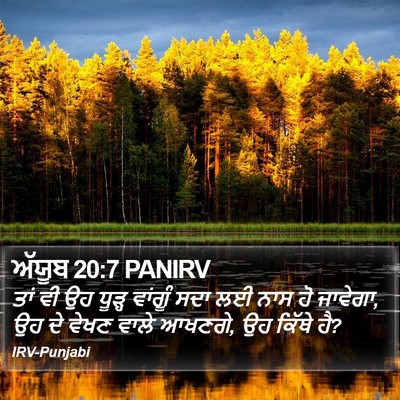 ਅੱਯੂਬ 20:7 PANIRV Bible Verse Image