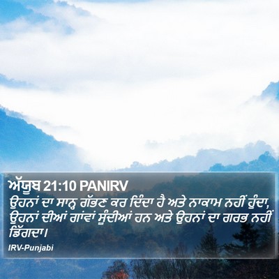 ਅੱਯੂਬ 21:10 PANIRV Bible Verse Image