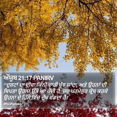 ਅੱਯੂਬ 21:17 PANIRV Bible Verse Image