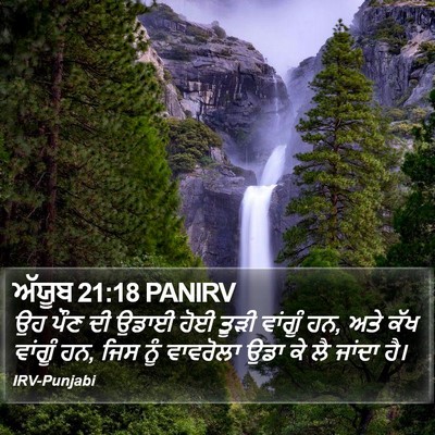ਅੱਯੂਬ 21:18 PANIRV Bible Verse Image