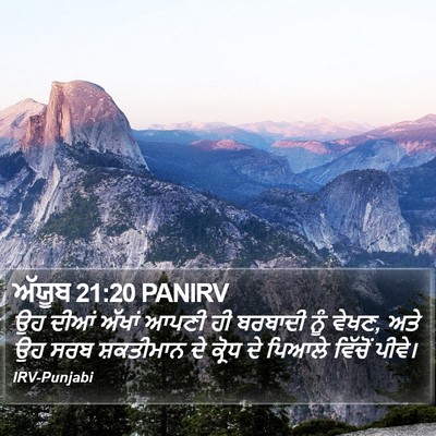 ਅੱਯੂਬ 21:20 PANIRV Bible Verse Image