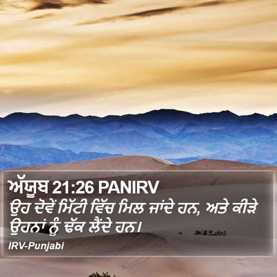 ਅੱਯੂਬ 21:26 PANIRV Bible Verse Image