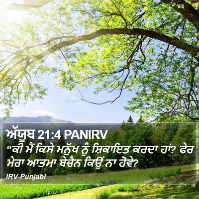 ਅੱਯੂਬ 21:4 PANIRV Bible Verse Image
