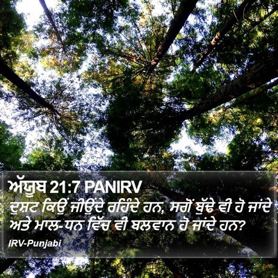 ਅੱਯੂਬ 21:7 PANIRV Bible Verse Image