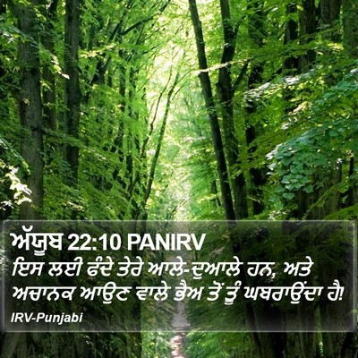 ਅੱਯੂਬ 22:10 PANIRV Bible Verse Image