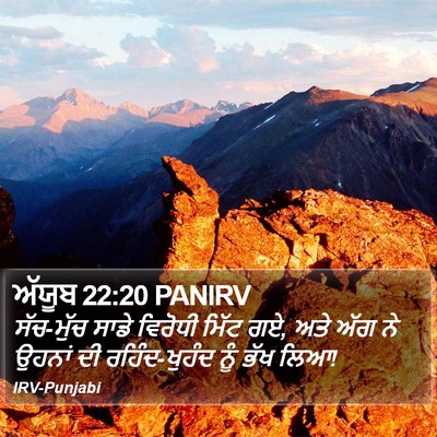 ਅੱਯੂਬ 22:20 PANIRV Bible Verse Image