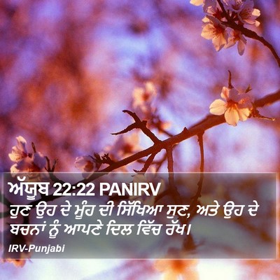 ਅੱਯੂਬ 22:22 PANIRV Bible Verse Image