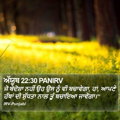 ਅੱਯੂਬ 22:30 PANIRV Bible Verse Image