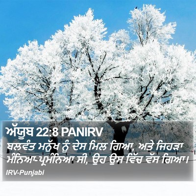 ਅੱਯੂਬ 22:8 PANIRV Bible Verse Image
