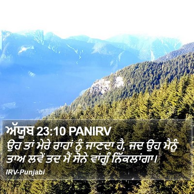 ਅੱਯੂਬ 23:10 PANIRV Bible Verse Image