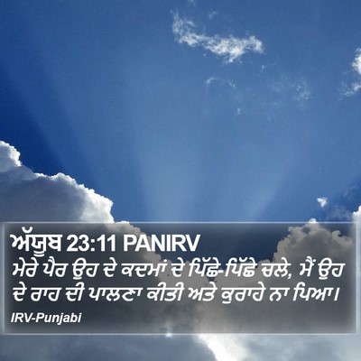 ਅੱਯੂਬ 23:11 PANIRV Bible Verse Image