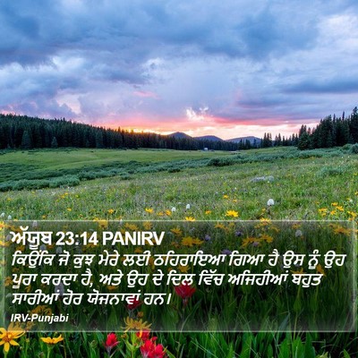 ਅੱਯੂਬ 23:14 PANIRV Bible Verse Image