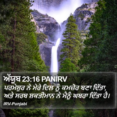 ਅੱਯੂਬ 23:16 PANIRV Bible Verse Image