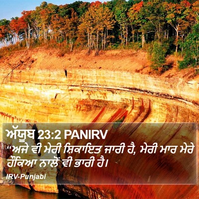 ਅੱਯੂਬ 23:2 PANIRV Bible Verse Image