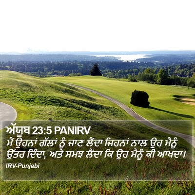 ਅੱਯੂਬ 23:5 PANIRV Bible Verse Image