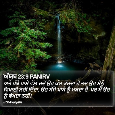 ਅੱਯੂਬ 23:9 PANIRV Bible Verse Image